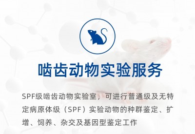 动物实验检测服务