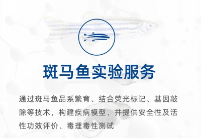 斑马鱼检测服务