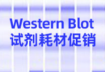 Western Blot 试剂耗材促销...
