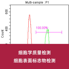 细胞表面标志物检测...