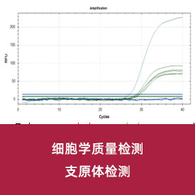 支原体检测...