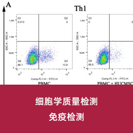 干细胞免疫学检测...