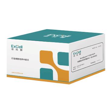 E.coli DNA 残留检测试剂盒...
