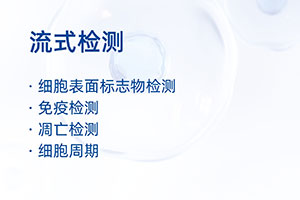 流式检测...