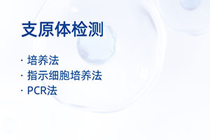支原体检测...