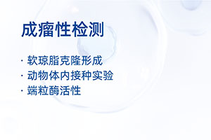 成瘤性检测...