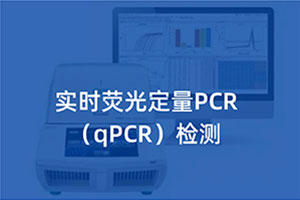 实时荧光定量PCR（qPCR）...