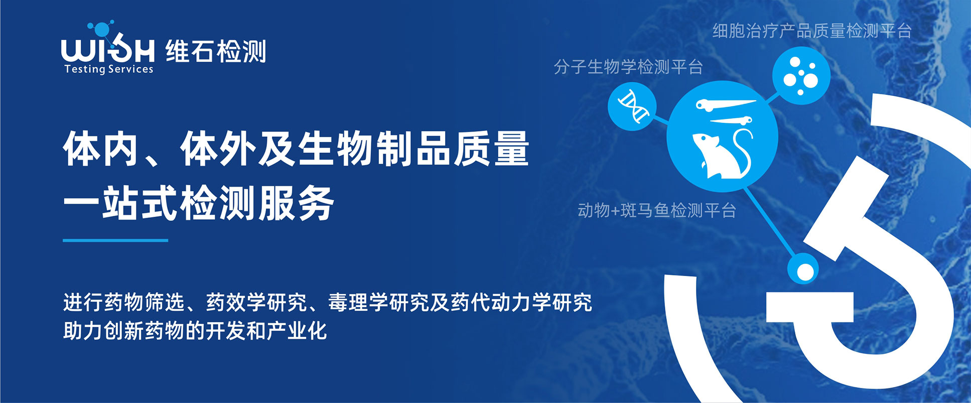 检测服务解决方案